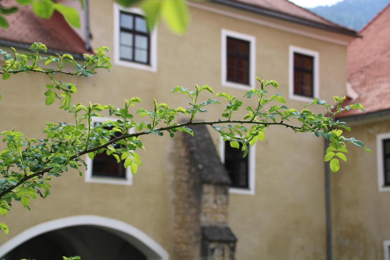 Hotel Im Stift Neuberg Neuberg an der Muerz Экстерьер фото